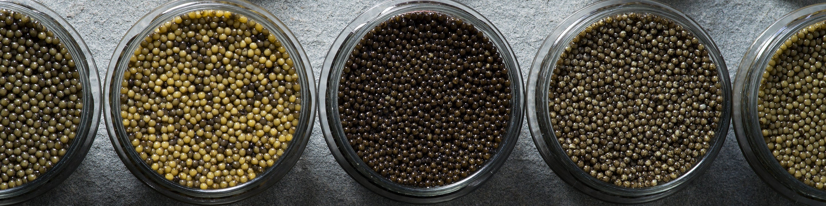 Caviar