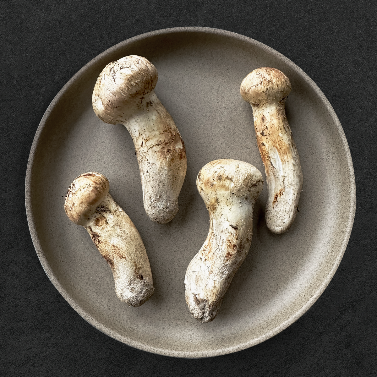 アクセサリー Matsutake IFW_Mushrooms_WildMatsutake.