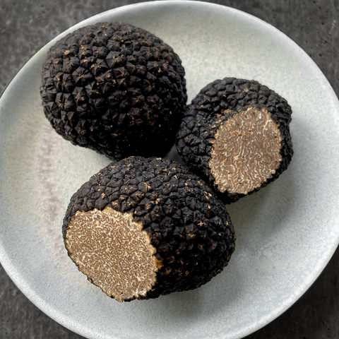 Burgundy Truffle (Tuber uncinatum)