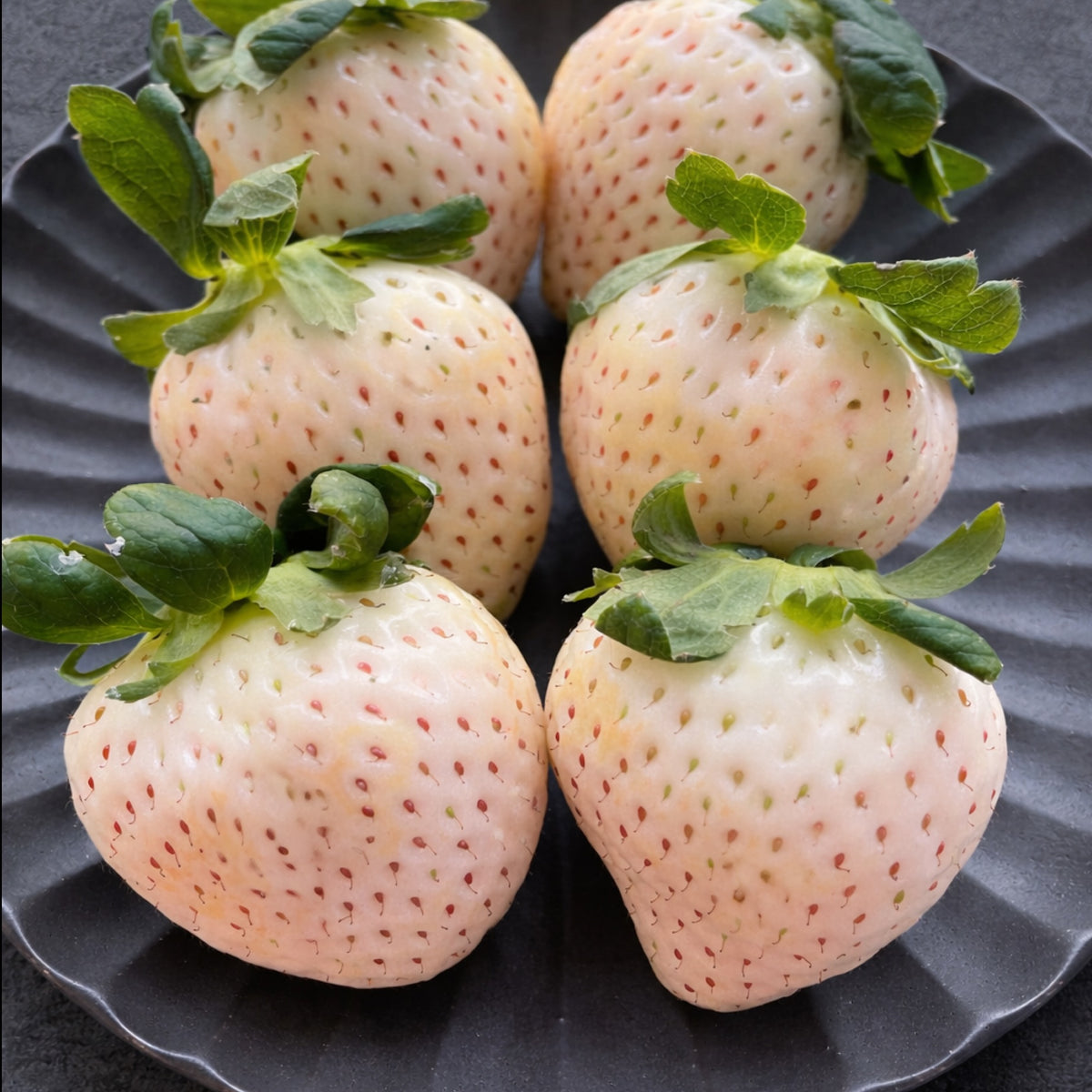 strawberry white seeds Japanese White Strawberries