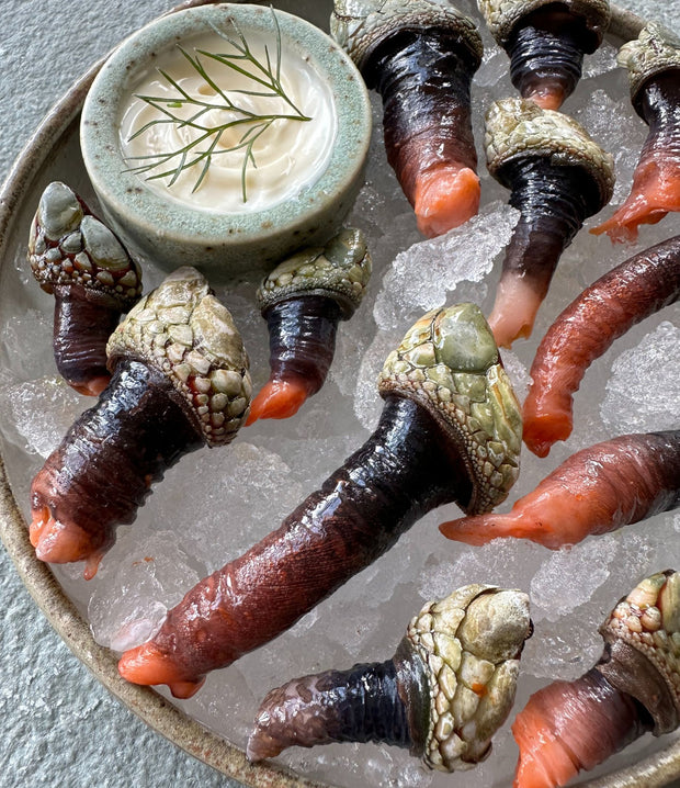 Best Gooseneck Barnacles (Percebes) photos by Regalis Foods - item 1