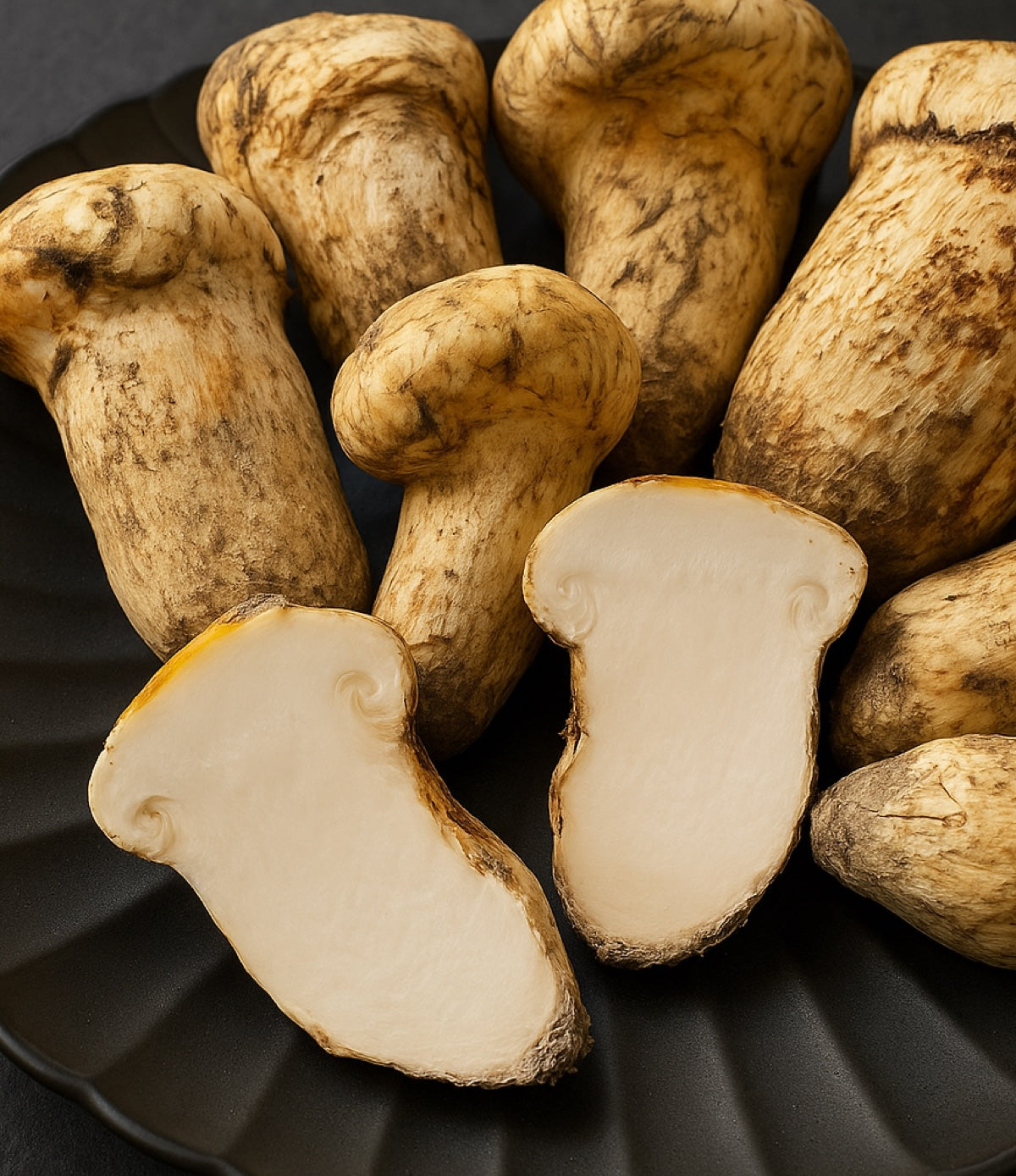 Wild Matsutake (Pine Mushrooms) – Regalis Foods