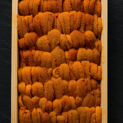 Maine Bafun Select Uni Tray