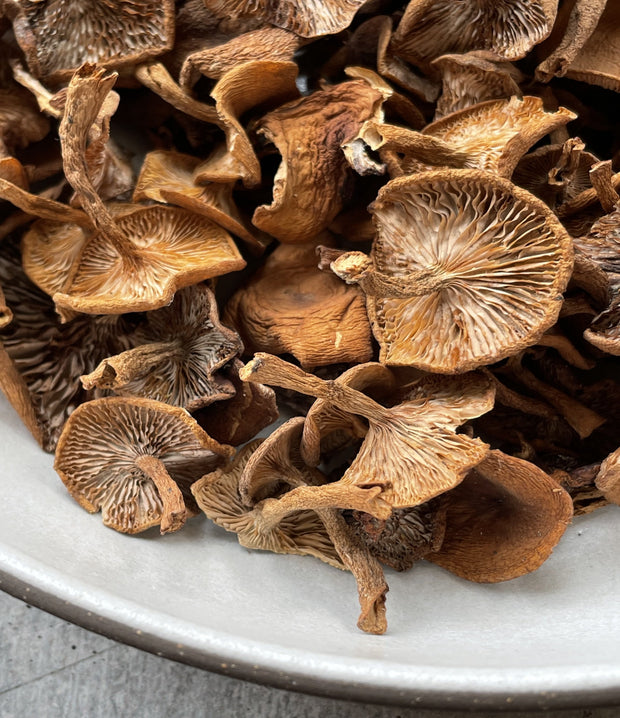 Best Candy Cap Mushrooms photos by Regalis Foods - item 2