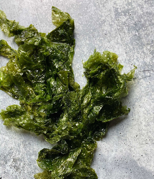 Best Diver Caught Salted Sea Lettuce 1 Kilo photos by Regalis Foods - item 5