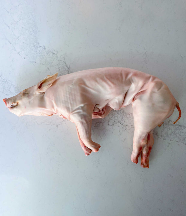 Best Cochinillo - Segovian Suckling Pig (10lb) average size photos by Regalis Foods - item 4