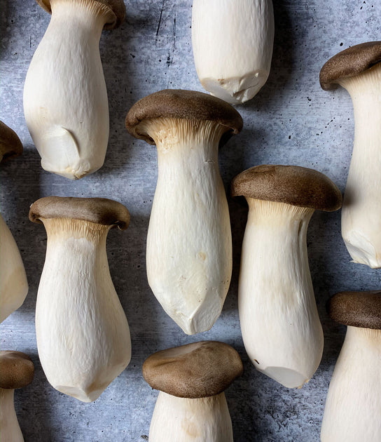 King Oyster Mushrooms Buy at Regalis Foods