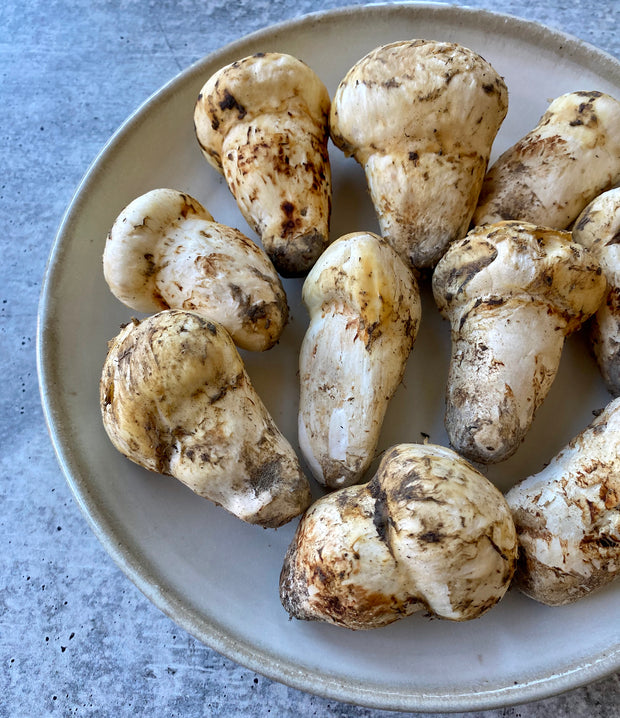 Best Wild Matsutake (Pine Mushrooms) photos by Regalis Foods - item 3