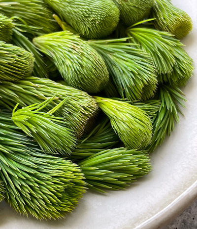 Best Spruce Tips, 1 lb photos by Regalis Foods - item 1