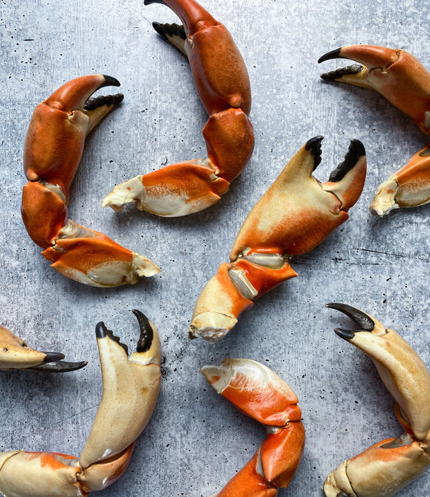 Best California XL Rock Crab Claws photos by Regalis Foods - item 2