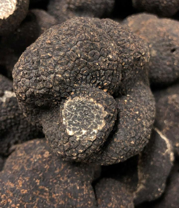 Best Fresh Winter Black Truffles (Périgord) photos by Regalis Foods - item 2