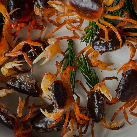 Rare Seafood At Home