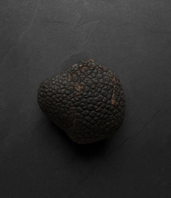 The Truffle Shipping Special