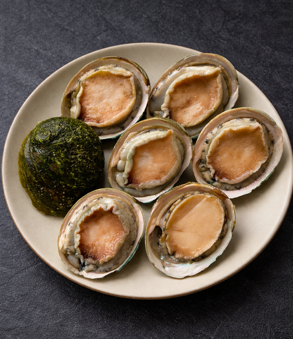 Australian Greenlip Abalone