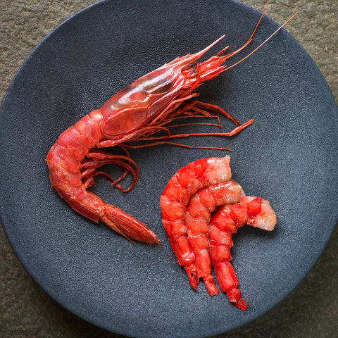 Red Carabinero Prawns