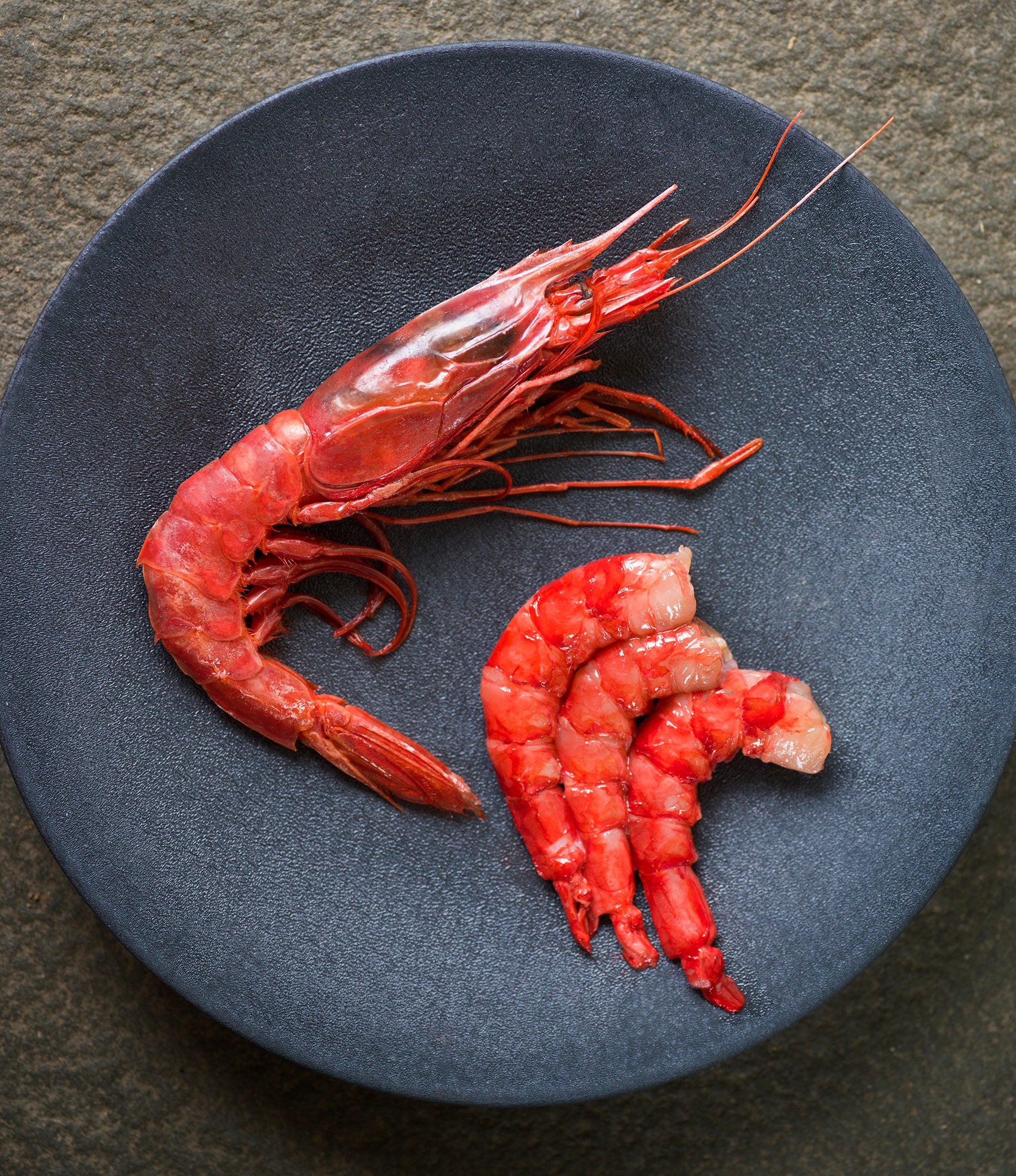 succulent prawns Succulent Spanish Red Prawns for Sale