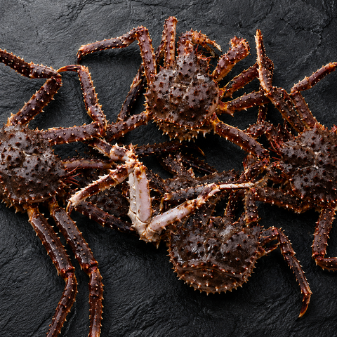 Live Norwegian Red King Crab