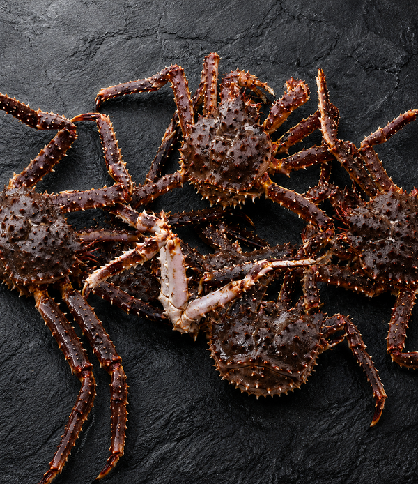 Live Norwegian Red King Crab