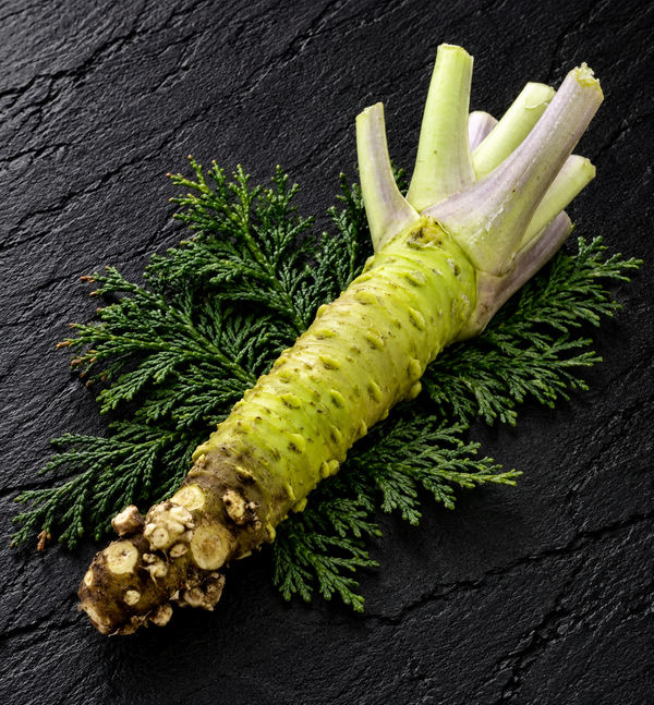 Green Stem Wasabi