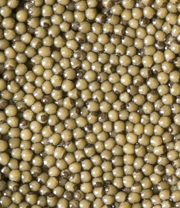 Best Golden Osetra Caviar photos by Regalis Foods - item 2