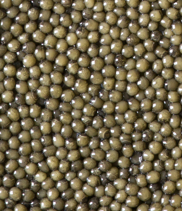 Grandeur Osetra Caviar (Large Grain 3.5mm eggs)