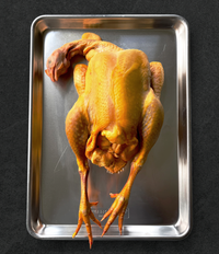 Pennsylvania Golden Chicken