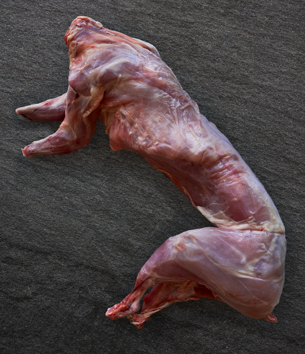 Spanish Whole Rabbit