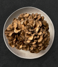 Black Maitake