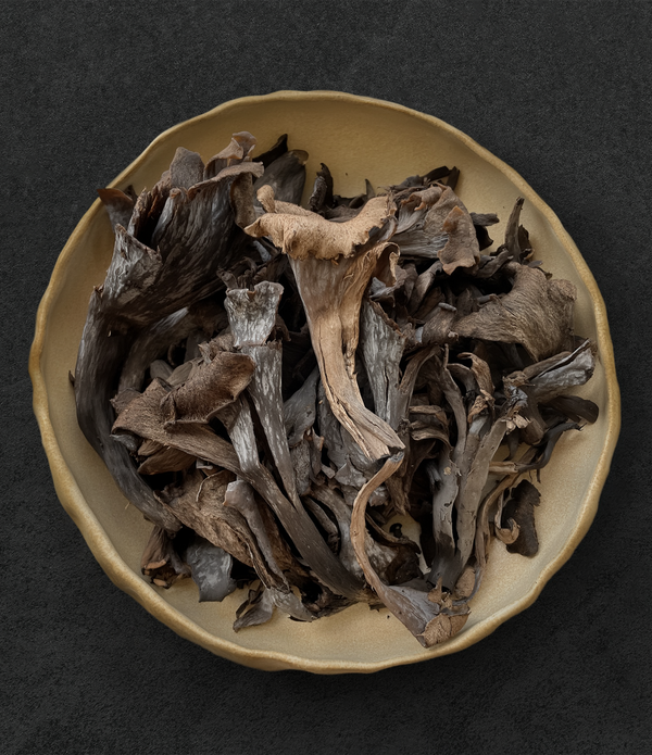 Wild Black Trumpet Mushrooms