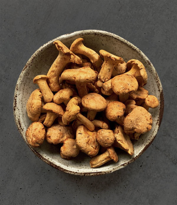 Oregon Button Chanterelles