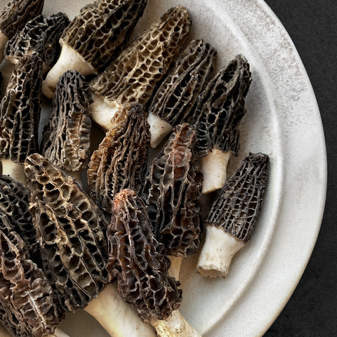 Himalayan "Gucchi" Black Morels