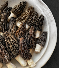 Himalayan "Gucchi" Black Morels