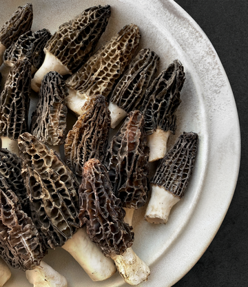Best Himalayan "Gucchi" Black Morels photos by Regalis Foods - item 1