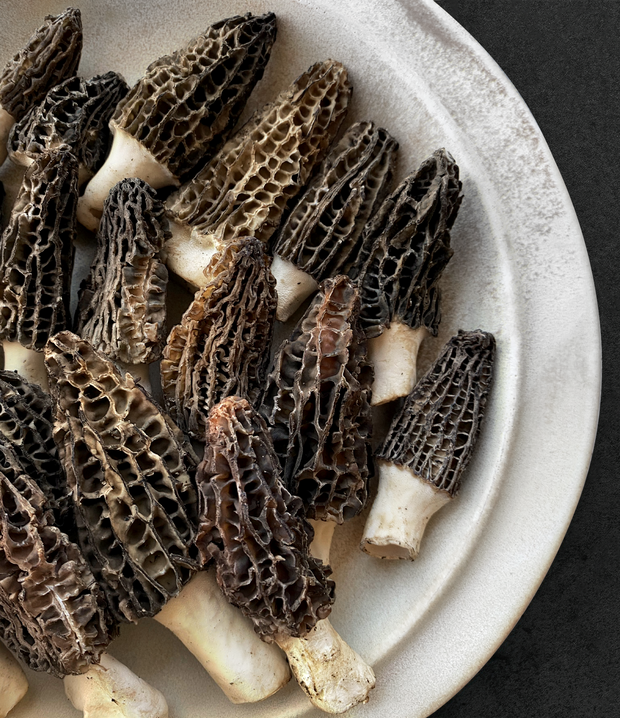 Best Himalayan "Gucchi" Black Morels photos by Regalis Foods - item 1