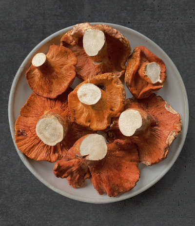 Best Lobster Mushrooms photos by Regalis Foods - item 1