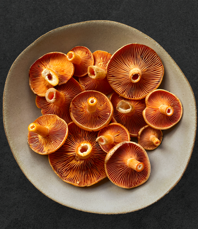 Best Saffron Milk Cap Mushrooms photos by Regalis Foods - item 1