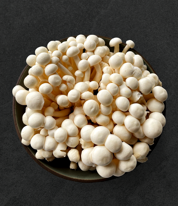 Hon Shimeji (White Beech Mushrooms)