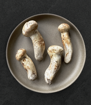 Wild Matsutake (Pine Mushrooms)