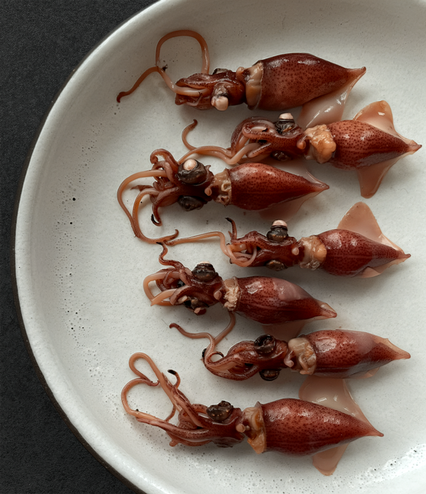 Hotaru Ika ホタルイカ (Firefly Squid)