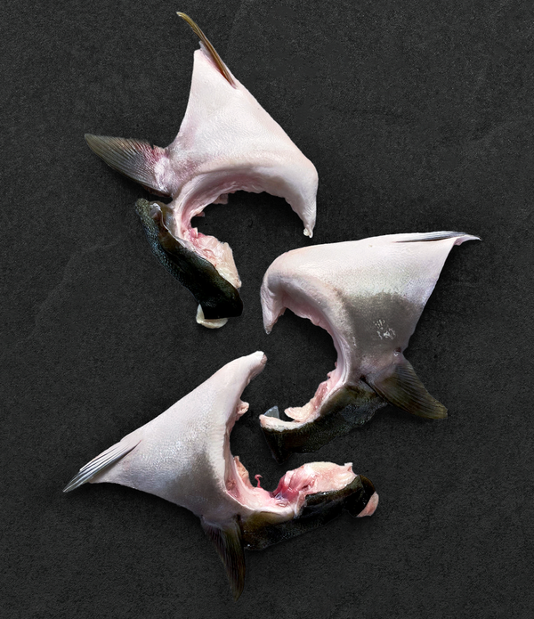 Japanese Yellowtail Collars (Hamachi Kama)