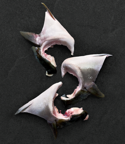 Best Japanese Yellowtail Collars (Hamachi Kama) photos by Regalis Foods - item 1