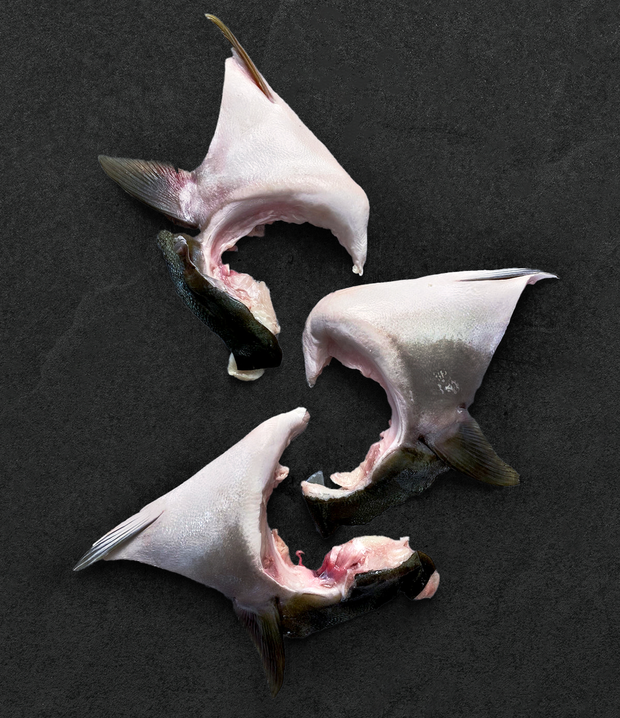 Best Japanese Yellowtail Collars (Hamachi Kama) photos by Regalis Foods - item 1