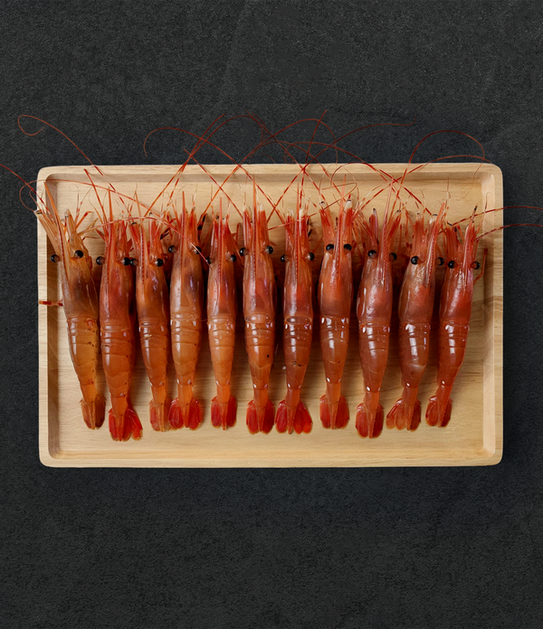 Live California Spot Prawns (Botan Ebi)