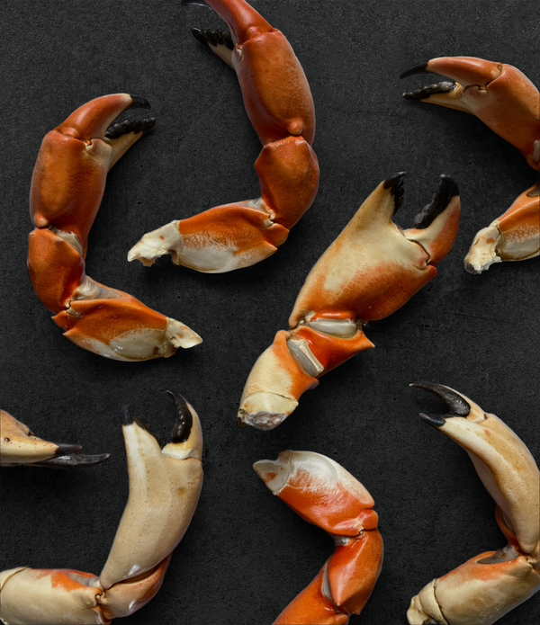 California XL Rock Crab Claws