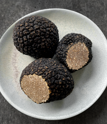 Best Burgundy Truffle (Tuber uncinatum) photos by Regalis Foods - item 1