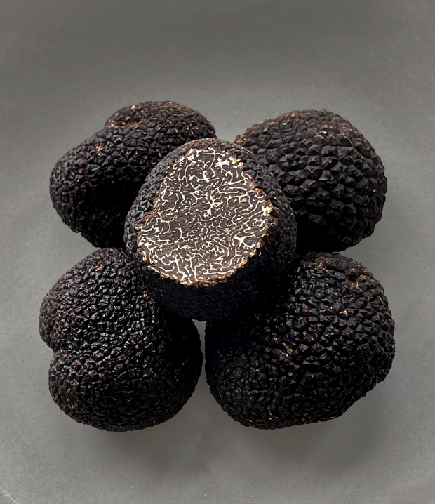 Best Fresh Chilean Black Truffle (Périgord) photos by Regalis Foods - item 1