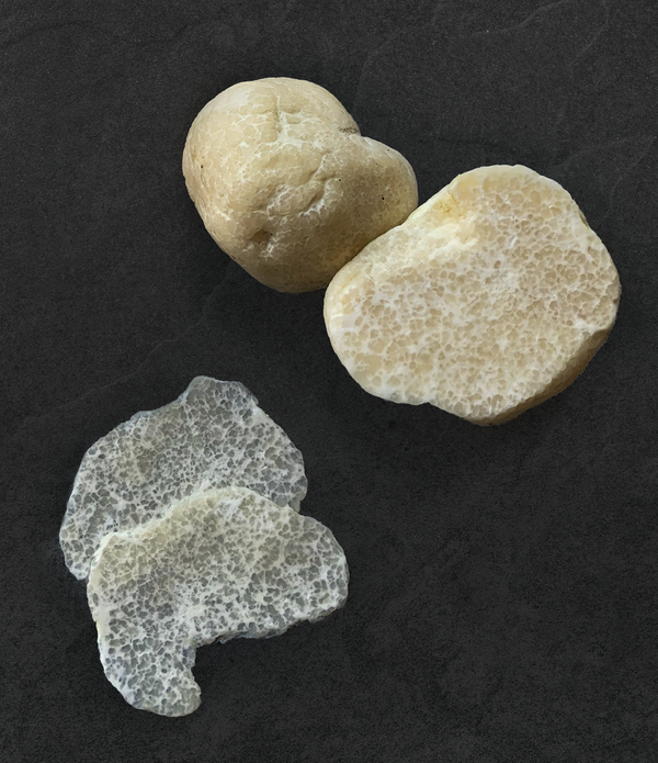 Fresh Hungarian Honey Truffle