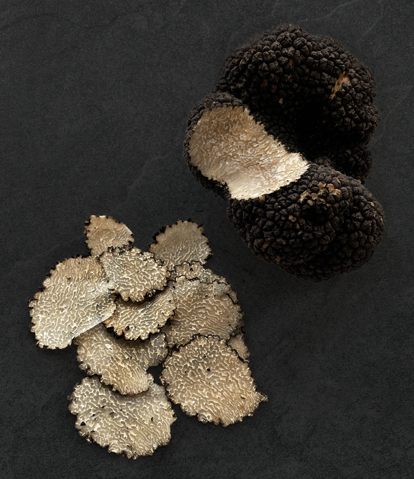 Italian Summer Black Truffles