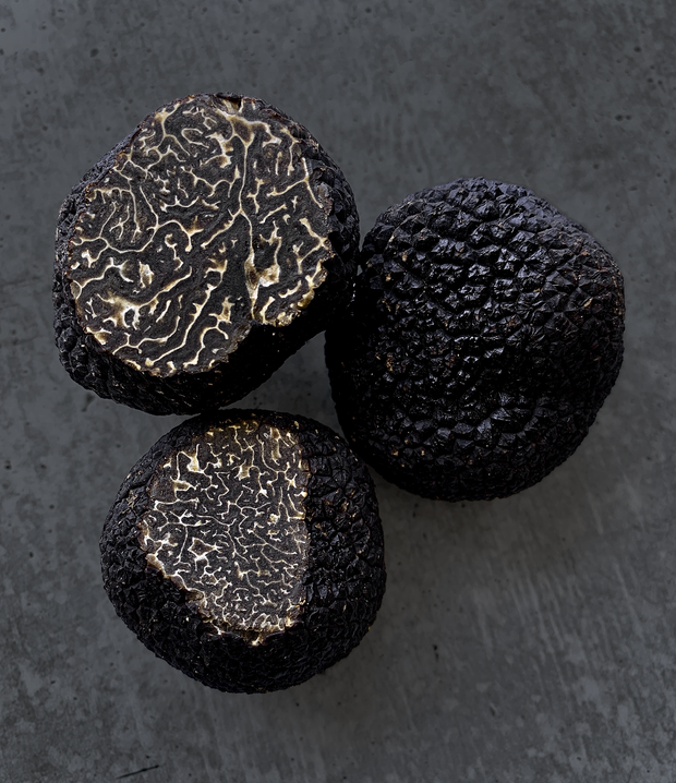 Best Fresh Winter Black Truffles (Périgord) photos by Regalis Foods - item 1