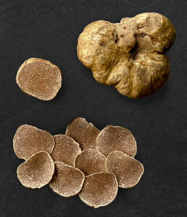 Fresh Winter White Truffles - Medium Size